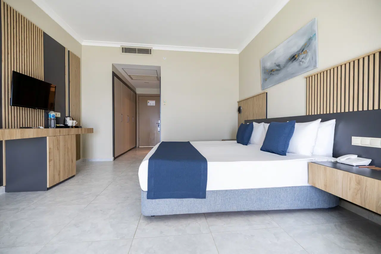 Standart Kara Manzaralı