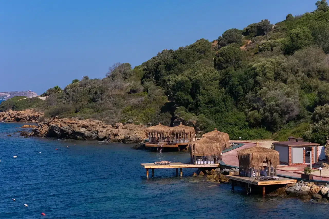 All day, all night